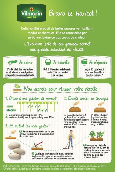 Légumes Secs - Haricot Nain Vert Bravo - 20 m - MEDIA_PACKAGING_VERSO